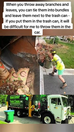 43K views · 210 reactions | When you throw away branches and leaves, you can tie them into bundles and leave them next to the trash can - if you put them in the trash can, it will be difficult for me to throw | GarbageTruckk | Facebook