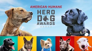 American Humane Hero Dog Awards - Hallmark Channel Awards Show