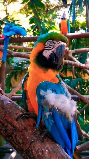 Wonders of Brazil | The Most Amazing Places in Brazil