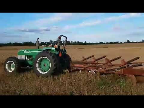 White American 80 FWA and Oliver 1755 plowing
