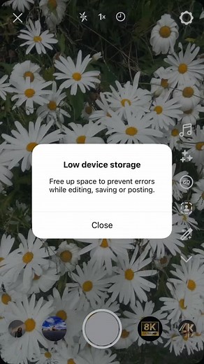 Overstimulated but still aesthetically pleasing. | Get Content