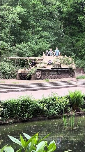 The Only Running Nashorn in the World – The Last of Its Kind