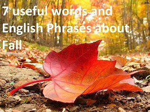 How to learn 7 useful words and English phrases about the fall season with a short story