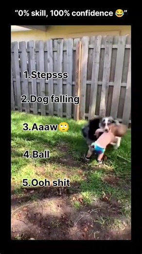 🤣 Impossible Try Not To Laugh | Best Fails Compilation Ever