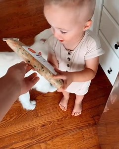 1.9K reactions · 68 shares | Human-grade ingredients, freshly cooked. It’s the realest thing a dog can eat. | The Farmer's Dog | Facebook