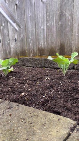 The Perfect Garden Trowel For Getting The Job Done