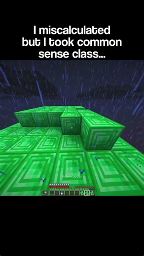 Minecraft Common Sense Moment