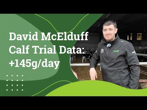 Calf Daily Gain Explained | Precision Microbes Results (+145g/Day)