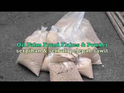 [BTBRD - BPPT] We Make Crude Oil from Wood