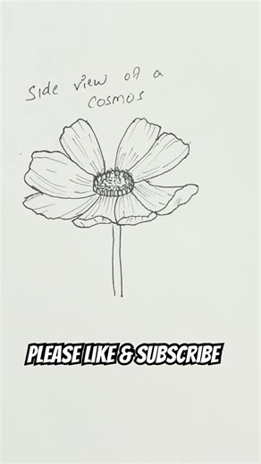 How to draw Side view of flower🌸 #art #flowers #drawing #shorts #viral #trending #aesthetic