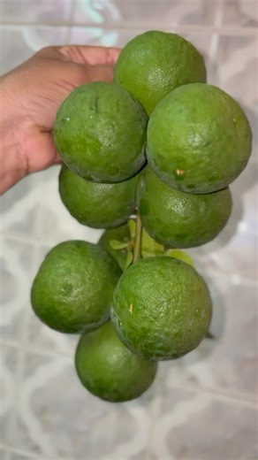 Kolumicham juice #juice #kolumichampalam #yts #lemon #trendingshorts #energydrink #healthydrinks