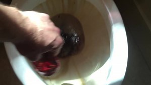 36K views · 69 reactions | This Toilet Bowl Cleaning Trick Works Like...