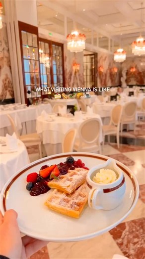 Wien | Vienna on Instagram: "Food heaven in Vienna 🥰🥐🍫🍰☕️🌭🥙 #visitvienna #vienna #wien"