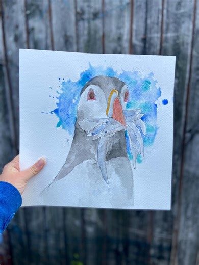 Puffin SIGNED Hand-painted Watercolour Original Painting - Etsy