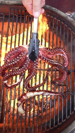 Mel from Darksideofthegrill shows you how to make perfect grilled Octopus. The recipe may be simple, but it sure is tasty. And in breaking news, Mel will be at Meatstock Hamilton!! #recipe #grill #grilling #octopus #bbq #waikato | Meatstock Hamilton