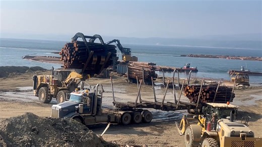 Each day during our seasonal dewatering operations on Williston Lake near Mackenzie, BC, we handle between 4,800 and 5,300 cubic meters of wood, made possible by the teamwork of our industry partners. Peace Navigation Ltd.’s tugboats move the logs - a time-tested method that’s been part of B.C.’s forestry tradition for nearly 200 years. Duz Cho Logging hauls out dewatered wood, while Chu Cho Industries hauls wood to the yard for delivery to Dunkley lumber. These operations showcase how modern fo