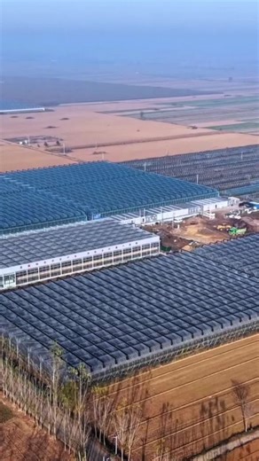 Smart Mushroom Farming in Hebei Province, China