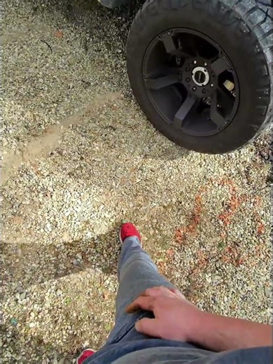 How to spot alien poop