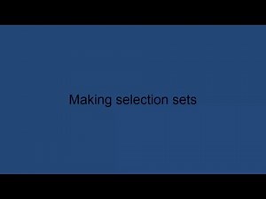 17 Making selection sets