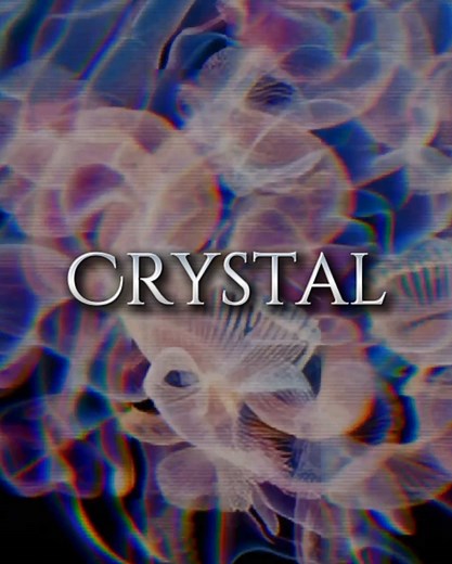 Understanding Crystal Meth's Effects on the Brain