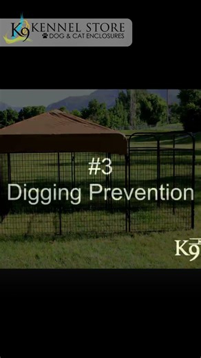 Outdoor Dog Kennel System Built for Security, Comfort & Easy Setup
