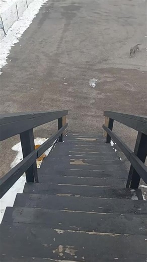 #bullybrothers4life #herewegoagain #smokedog | bulldog