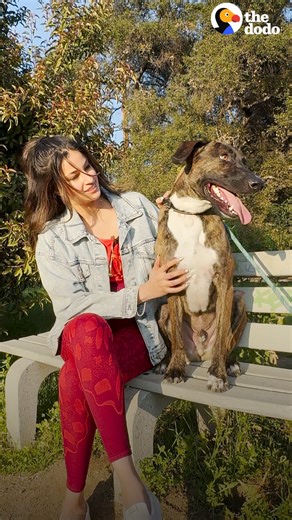 Richa Moorjani goes on a blind date with a 2-year-old shepherd mix who's been waiting for a family his whole life!🌹 Special thanks to Richa Moorjani! Check her out on Instagram: https://thedo.do/richamoorjani! See more animals available for adoption The Animal Rescue Mission here: https://thedo.do/Adopt Keep up with the wonderful work Shira does with The Animal Rescue Mission on Instagram: https://thedo.do/shiraastrofIG. | The Dodo