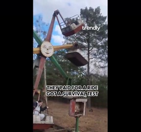 Ferris wheel experience becomes unstable as cars collide