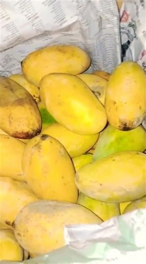 Fresh Mangoes for Sale | Sweet & Juicy Mangoes | Summer Special #Mango #FruitMarket
