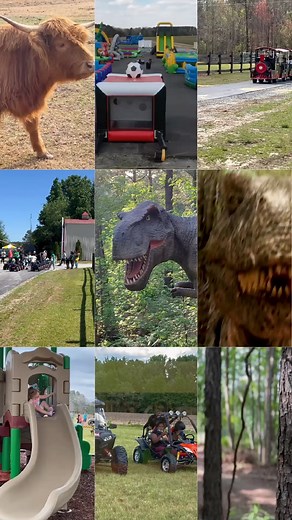 619 reactions · 107 shares | Sweet Valley Ranch has something for the entire family: Farm Tours, Petting Zoo, Fishing, ATVs, Go-Karts, Inflatables, Playgrounds, Train Rides, Walking Trails, Animal Sales, Party Venue, Dinosaur World, Backwoods Terror Ranch, Festival of Lights, and much more. Learn more at: https://www.sweetvalleyranchnc.com/ | Sweet Valley Ranch NC | Facebook