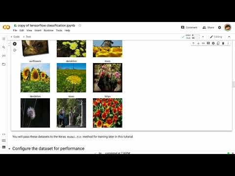 Practical AI 016b: Image Classification Notebook with TensorFlow