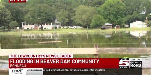 VIDEO: Flooding in Beaver Dam community