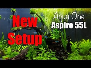 Aqua One 55L Setup EP1: