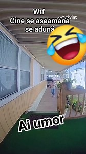 Ai Umor Funny Clips FunnyVideos Bancuri & Glume FUNNY JOKES Umor si glume Glume, bancuri, poante @faniactivi | Ai Umor