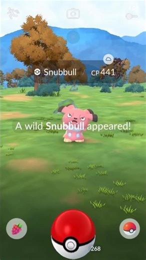 Catching Snubbull #pokemon #pokemongo #pokemongame #snubbull #normaltype #mobilegaming #gamingshorts