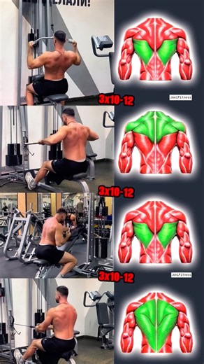 💪BUILD A WIDER BACK & BIGGER LATS | 4 EXERCISES #BackWorkout #BackDay #LatWorkout #Fitness #Shorts