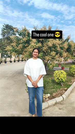 Three types of Pal Pal people 😁 #funnyshorts #laugh #entertainment #funny #funniestvideo #funnyface