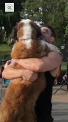 I can’t believe it’s been two years since my Lillie crossed over. My heart dog. My soul dog. The dog who inspired The Asher House and Asher House Wellness I’m deeply grateful for every moment we had, for all she taught me, and for the love she shared with the world. I can say with certainty that because of CBD, we were blessed with seven beautiful years together. I see and feel her with me every day and on every pack walk. Thank you for everything, Lillie💚 | The Asher House