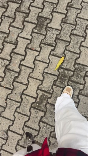 Discover the Sweet Lexus Experience