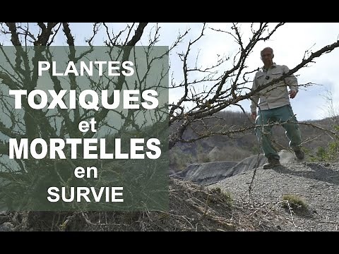 How to differentiate between poisonous and edible plants so you don't get poisoned.