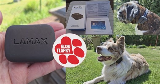 S chytrým obojkem O2 se pes už nezatoulá! Páníčkům ušetří řadu starostí