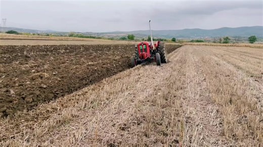 IMT 558 Traktori: Sve što treba da znate