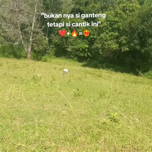 ⭐ SPR TEAM on TikTok