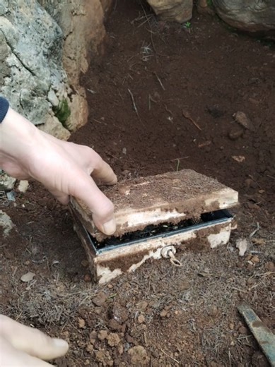 Treasure Hunting with Metal Detectors in Nature