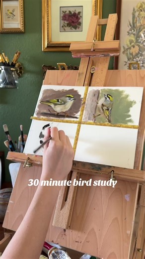 1-Minute Golden Crowned Kinglet Bird Study