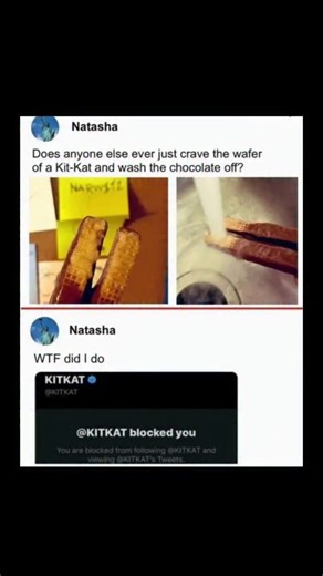 Johnny Bravo Explains Memes on Instagram: "Hey everyone, Johnny here to explain. This meme is funny because the person casually admits to a borderline unhinged snack habit of craving just the wafer part of a Kit-Kat and literally washing the chocolate off under the sink, which already feels like a small crime against common sense and candy culture, and then the follow-up shows that the official KitKat account “blocked” them, turning their innocent but cursed preference into a dramatic overreacti