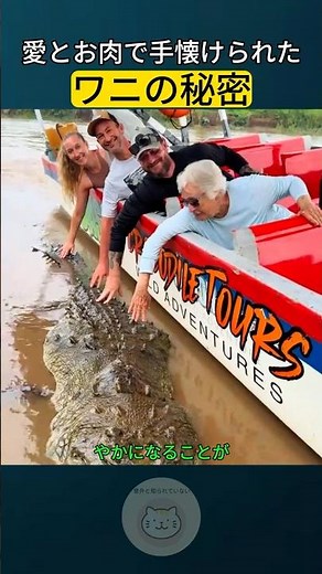 Giant Crocodile's Surprisingly "God-Tier" Treatment