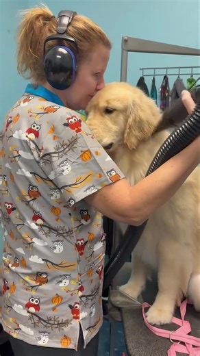 15 reactions | Lucky Pups Pet Wash on Reels | Facebook