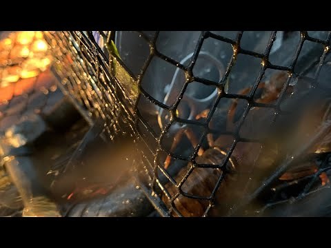 DIY Dollar store crawfish trap build