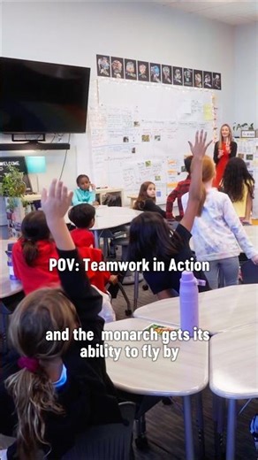 Teamwork in Action: How Structured Group Tasks Build Skills